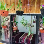Elephant House - Duong Lam Homestay