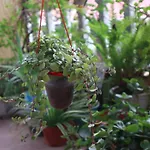 Kalon Homestay, Hai Ba Trung, Hn