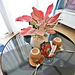 Vinhomes Skylake Apartment Kangnam My Dinh