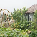 Gia Trinh Farmstay Ba VI - Venuestay