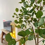DE LAPONG Homestay - HÀNG NGANG