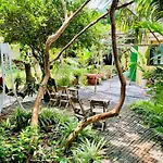 Elephant House - Duong Lam Homestay