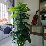 59 Pham Van Dong, Ha Noi