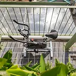 Home Key Rooftop Pool/Best Location/40+Pax/Gym