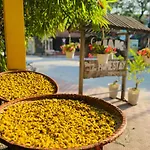 Elephant\'S House - Duong Lam Homestay