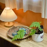 Daisy\'S Stay