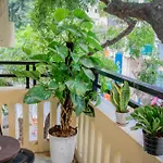 Hanoi Family Homestay