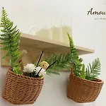 401 Minimalism Amoureux Chua Ha