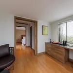 La Siesta Classic Hang Thung