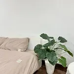 Bom House