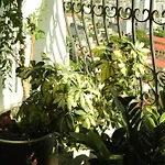 Indochine Aqua Central 3Br*2Ba*Pool*Gym*W/ Balcony Aiki Home