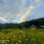 Soc Son Homestay - Bird House