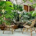 Sisan Home 294 Kim Ma Ban Cong Thu Gian