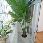 Sumitomo Đào Tấn