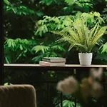 Lahomestay Khuat Duy Tien