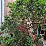 Best Price Ho Tay Villa Rooms With Garden & Pool For Long Stay