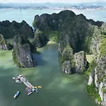 Dragonfly Cruise