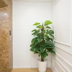 Sumitomo 3 Apartment For Japanese At 535 Kim Ma