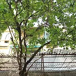Palmo Hotel & Apartment 1
