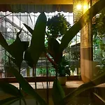 A Green Home