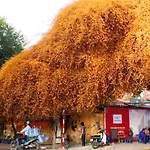 Hanoi Culture Hostel