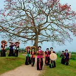 Hanoi Center Silk Lullaby Hotel And Travel