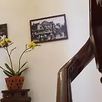 De Studio Homestay