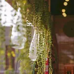Anchie Homestay - City Central