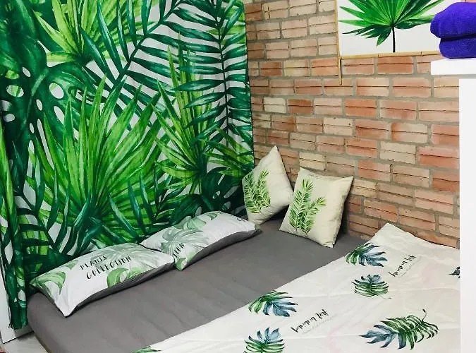 Chicken\'S House- Duong Lam Homestay