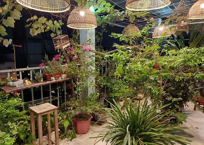 Alley Homestay