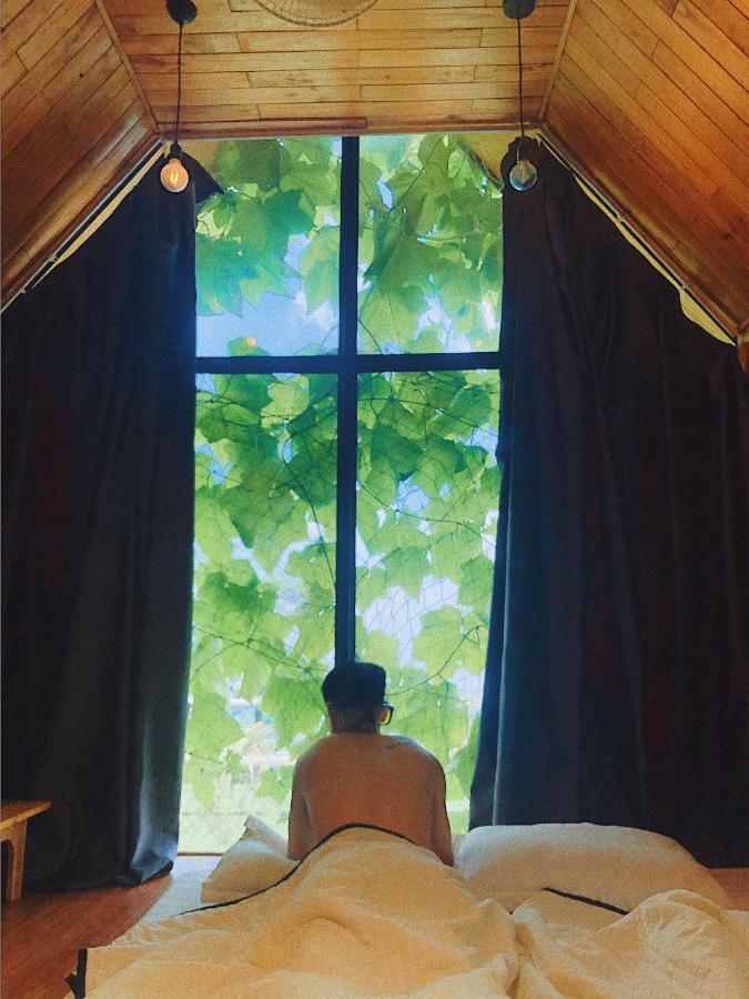 Du Thuyen Tam Dao Resort