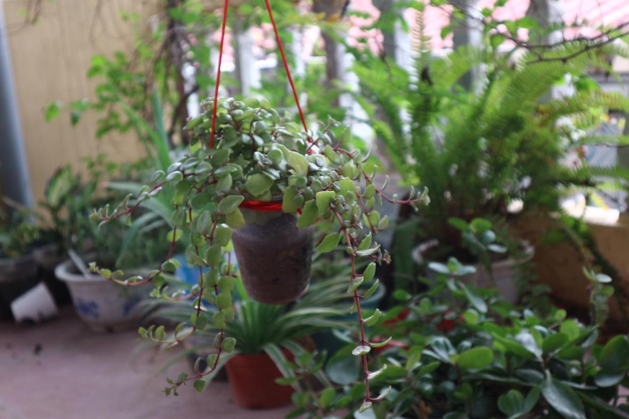 Homestay Kalon Homestay, Hai Ba Trung, Hn Hanoi