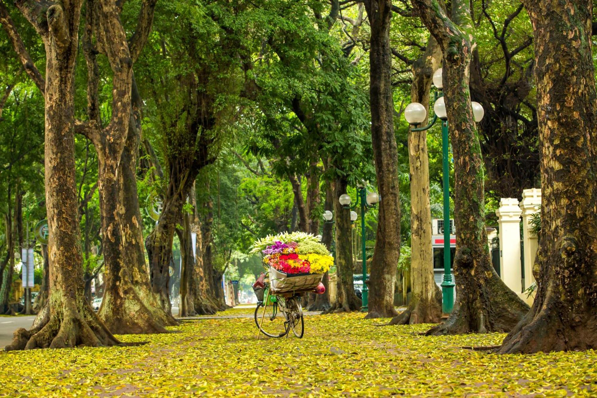 Hotel Center Silk & Travel Hanoi
