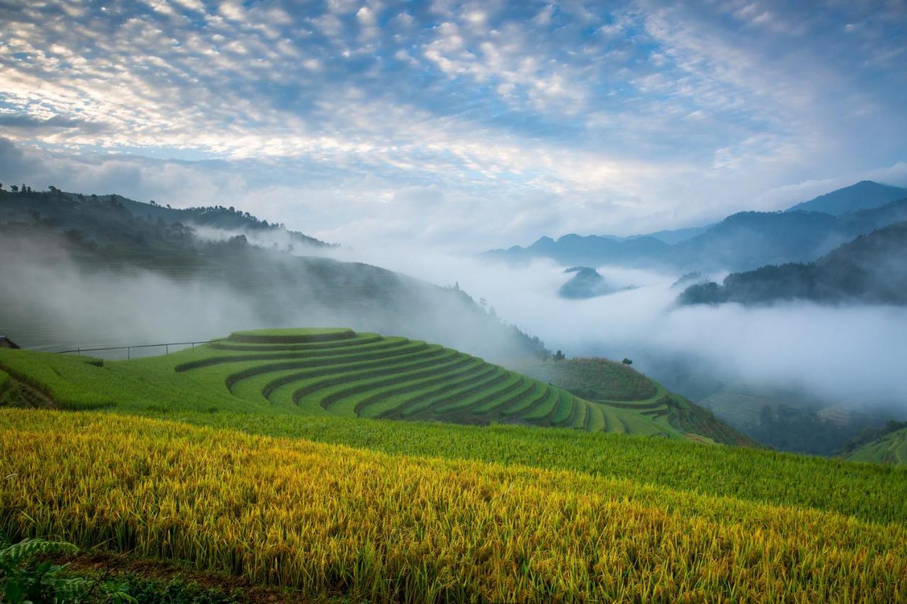 Center Silk & Travel 4* Hanoi