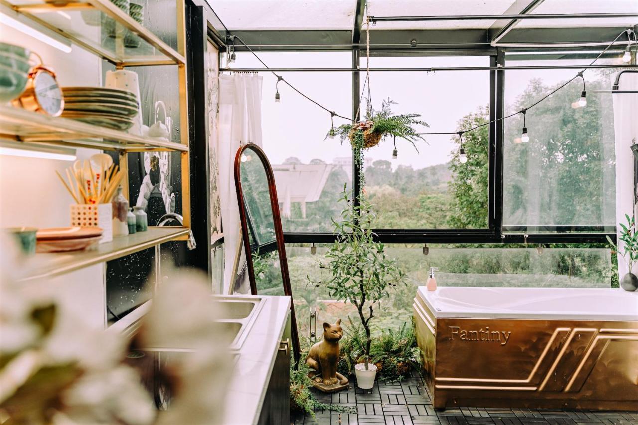 Langmandi Apartment