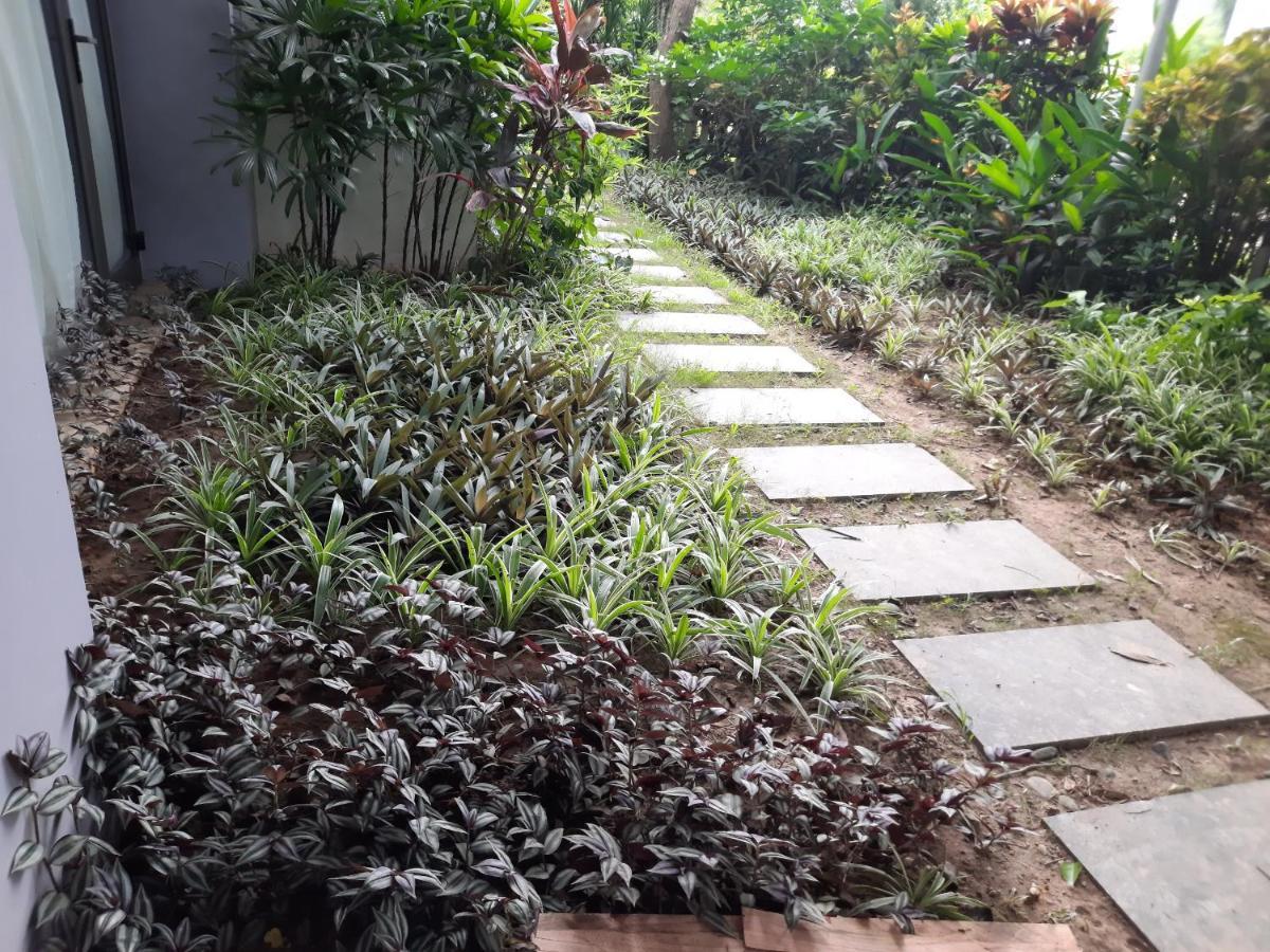 Bach Yen T111-happy Dai Lai Apartment