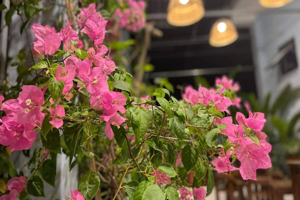 Alley Homestay