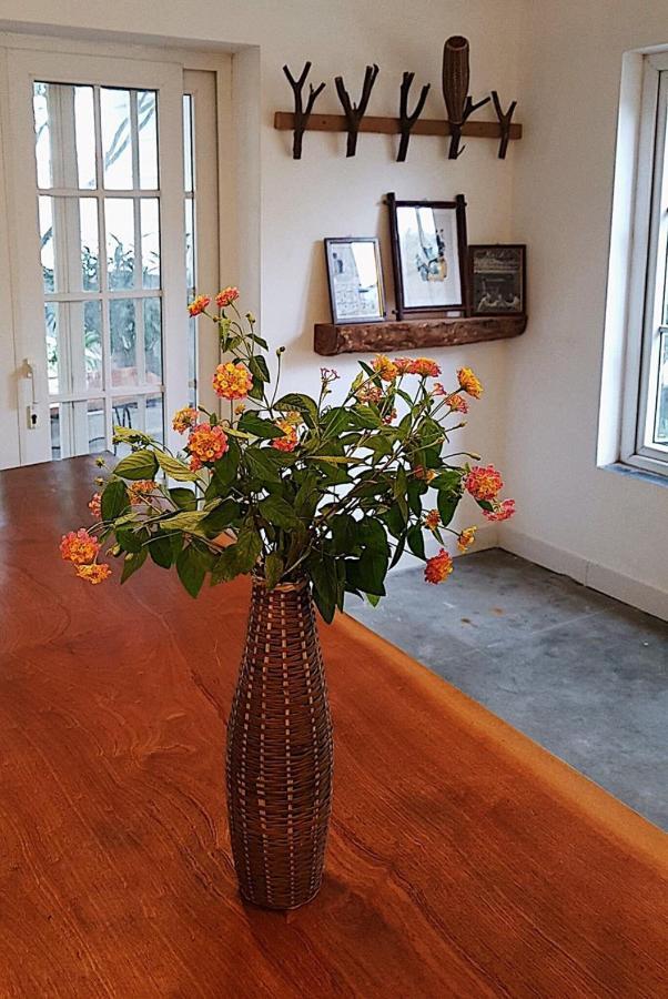 Rustic Villa Soc Son Venue Travel Vila