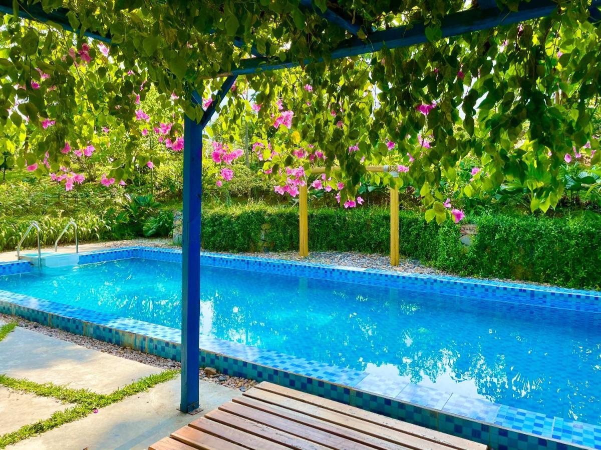 Padme Ba Vi - Venuestay Hanoi