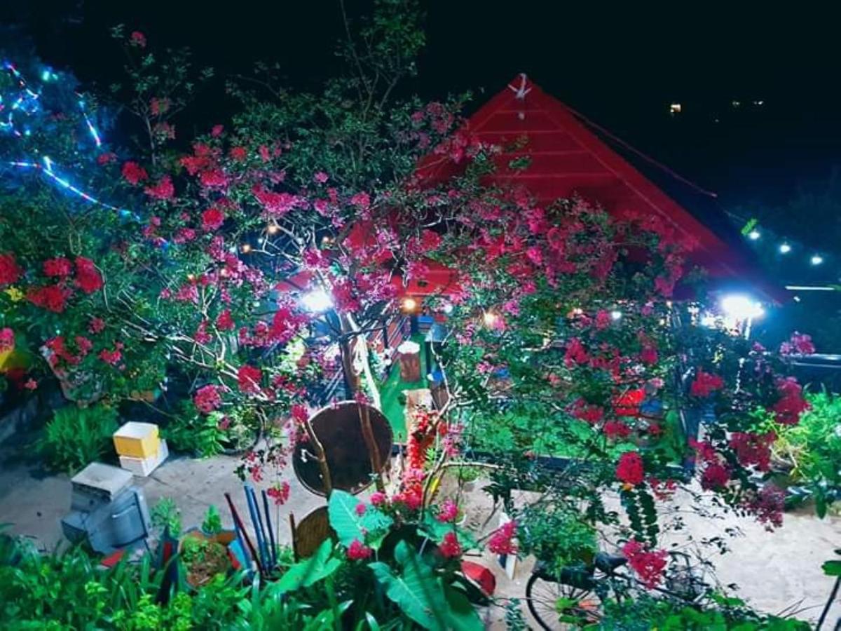 Sa Mộc House Tam đảo - Venue Travel Ở trọ Hà Nội