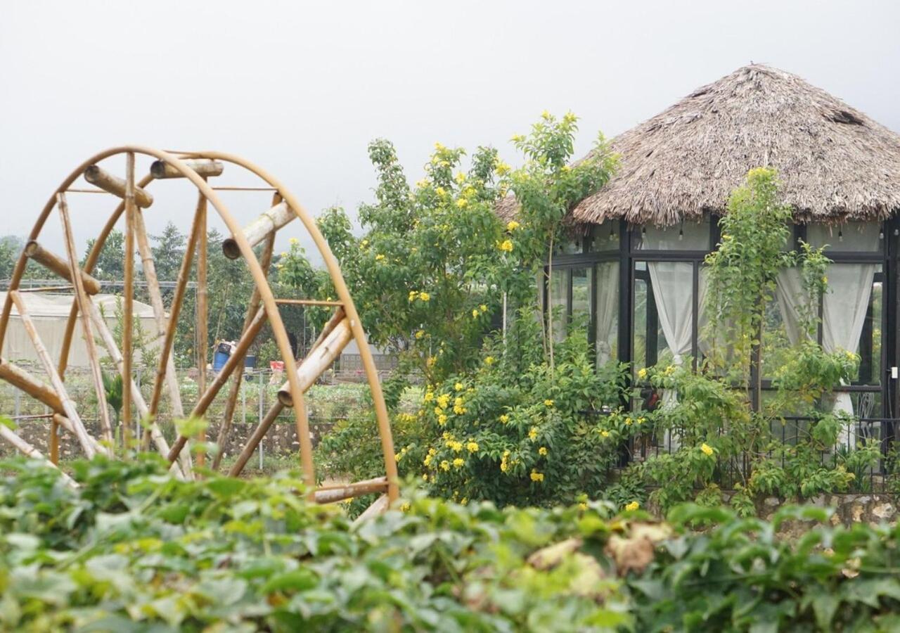 Homestay Gia Trinh Ba Vi - Venuestay
