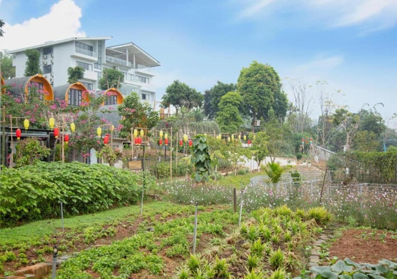 Homestay Gia Trinh Ba Vi - Venuestay Hanoi