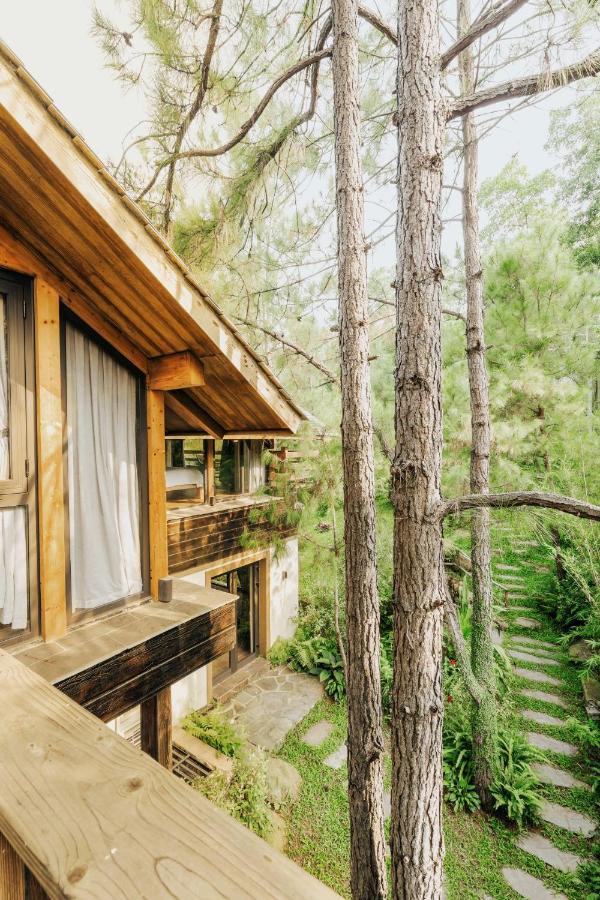 Khu nghỉ mát Amaya - Lodge, & Restaurant