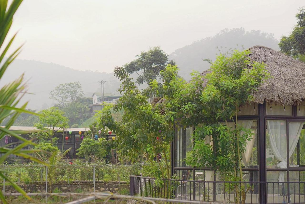 Gia Trinh Ba Vi - Venuestay Homestay