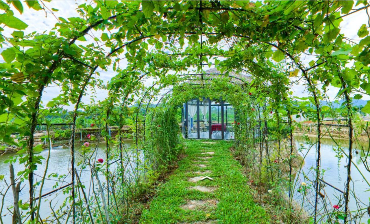 Gia Trinh Ba Vi - Venuestay