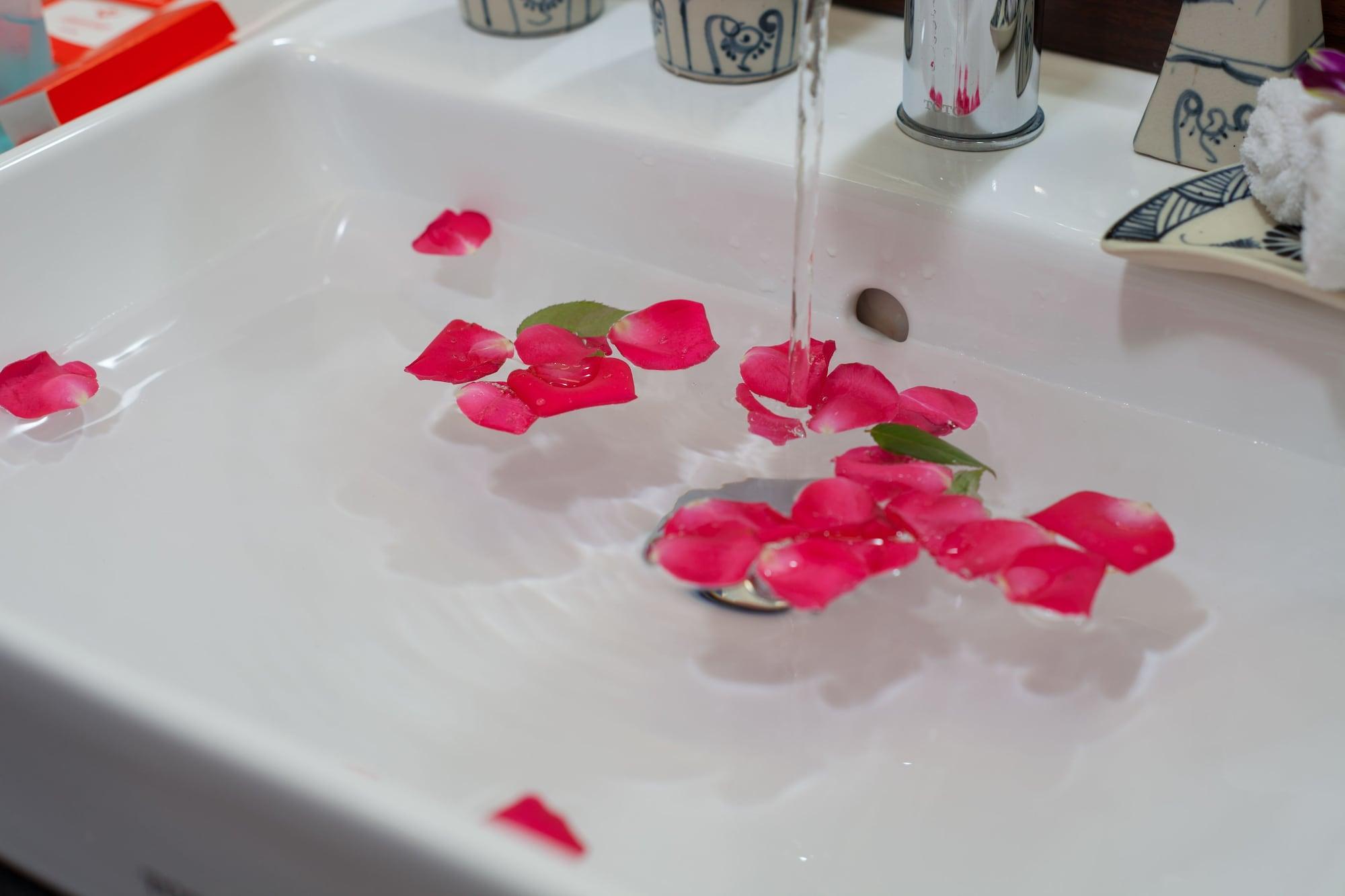 Hotel Hanvet 3*