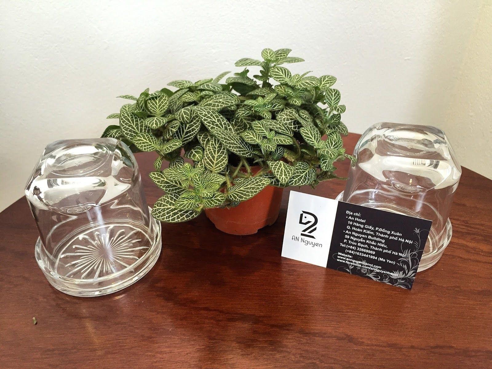 An Nguyen Boutique 3*