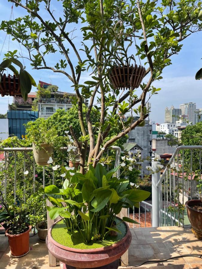 Residence-800m From Opera House