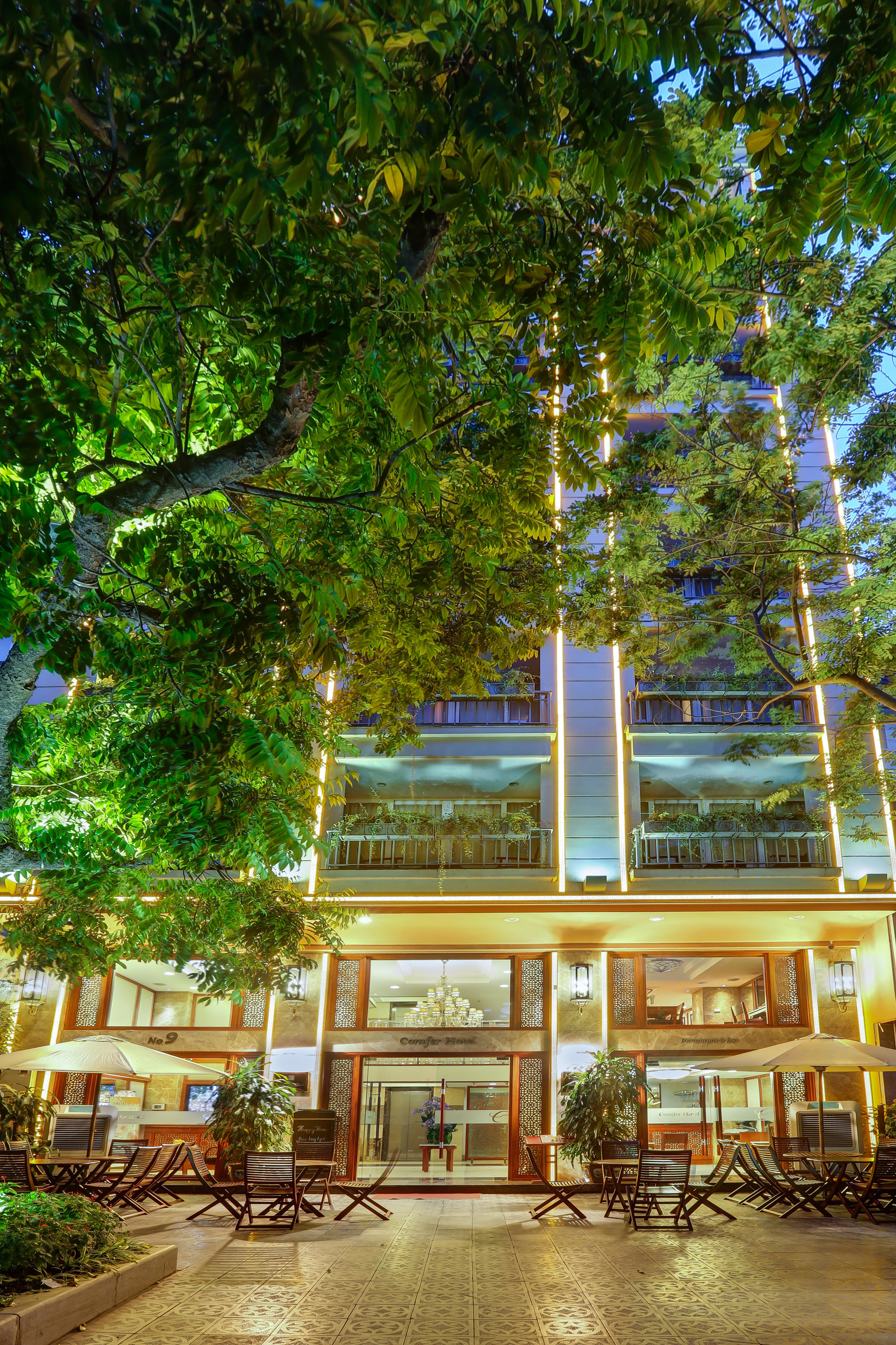 Conifer Boutique Hanoi