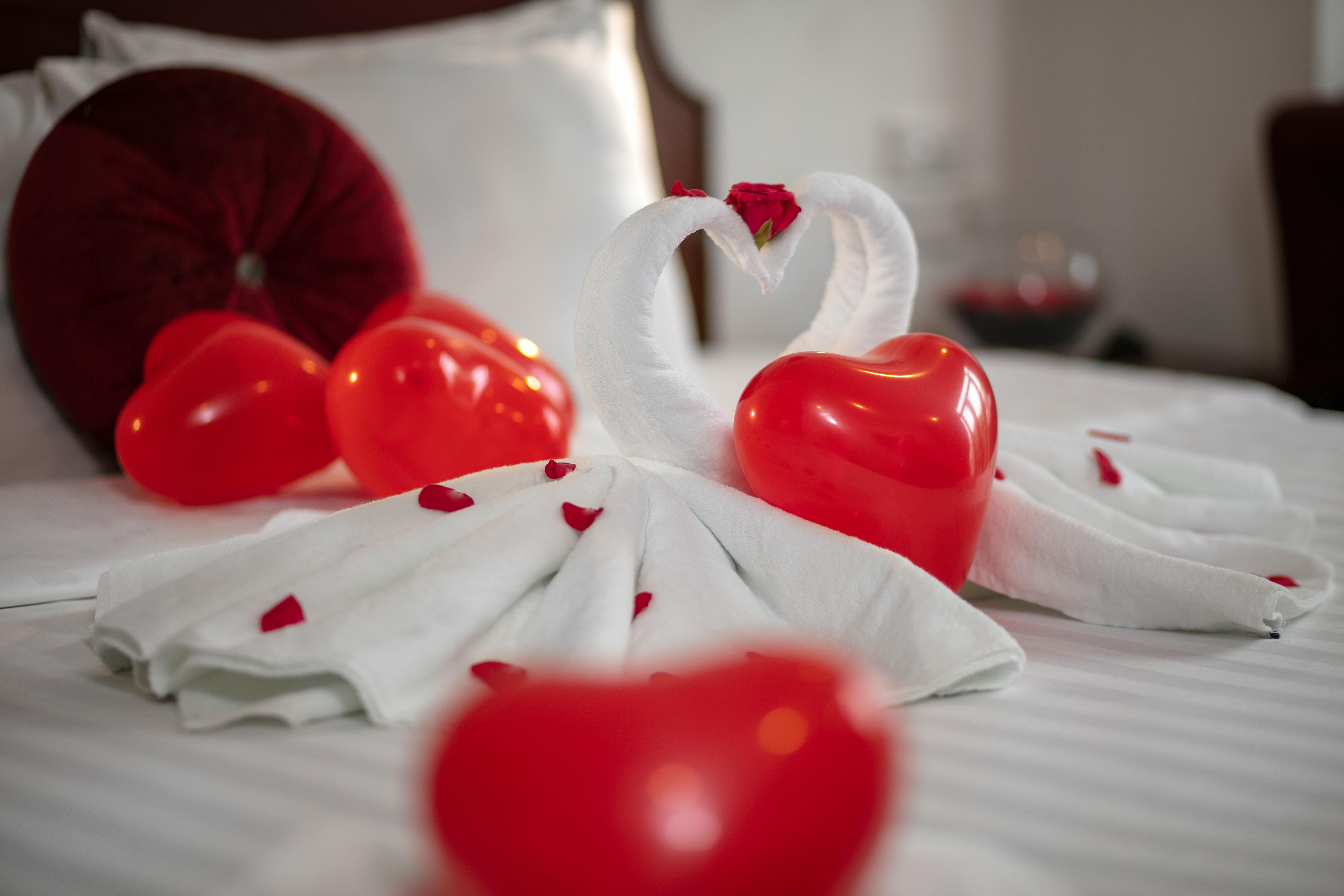 Vision Premium Hanoi